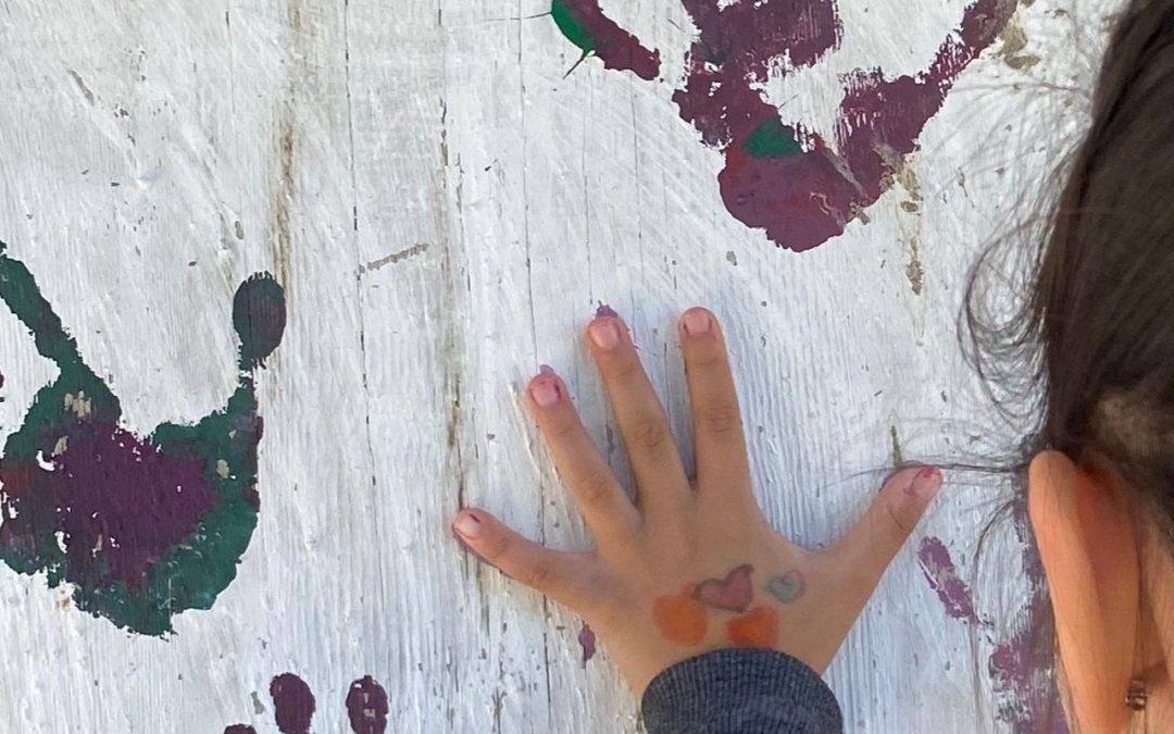 Roma mother describes experiences of ‘White Flight’ in Gjorgi Sugarev Primary School North Macedonia